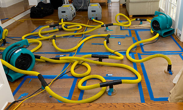 Professional Crawl Space Water Removal technician working in Freeland, MI